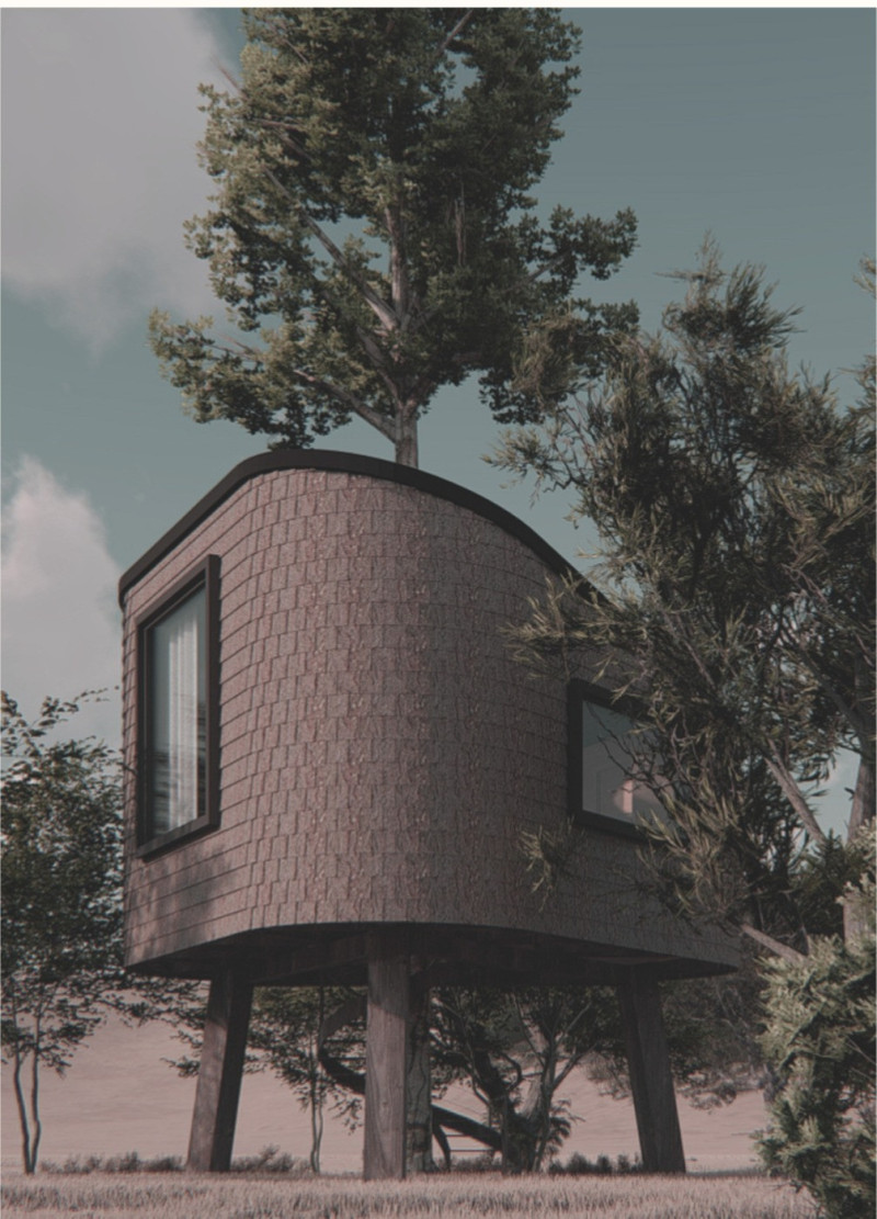 Elevated Living With Cork Walls and Solar Canopy Integration