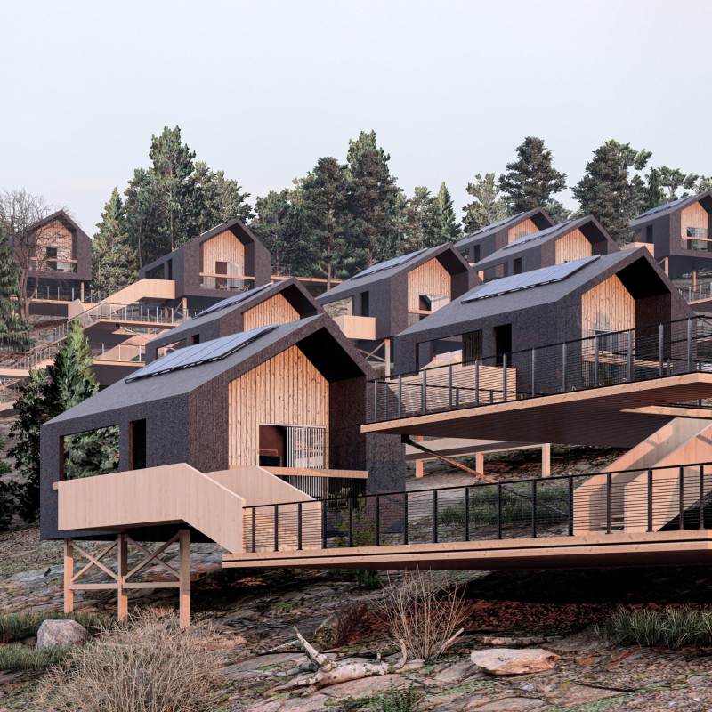 Residential Modulator Featuring Fiber Cement and Natural Wood for Sustainable Living