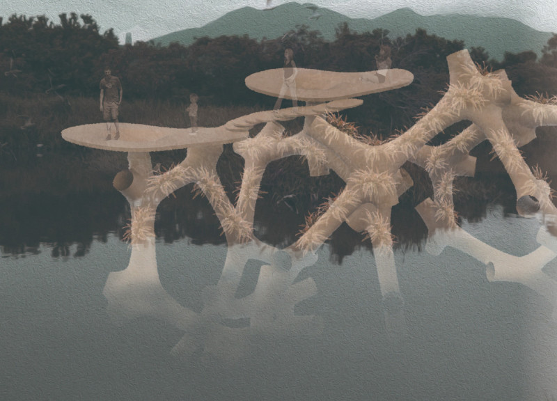 Bionic Structures of Geopolymer Concrete Supporting Floating Wetlands for Enhanced Ecosystem Integration
