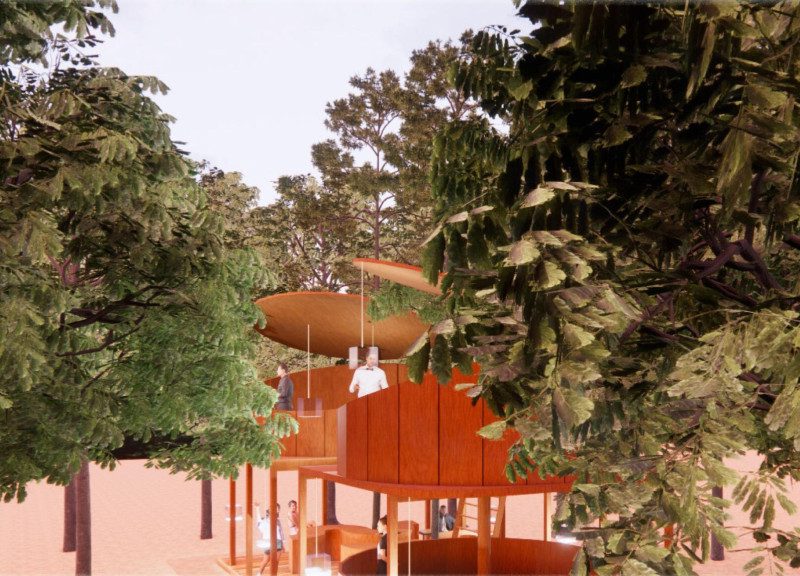 Cross-Laminated Timber Pavilion Embracing Mature Trees for Community Gathering