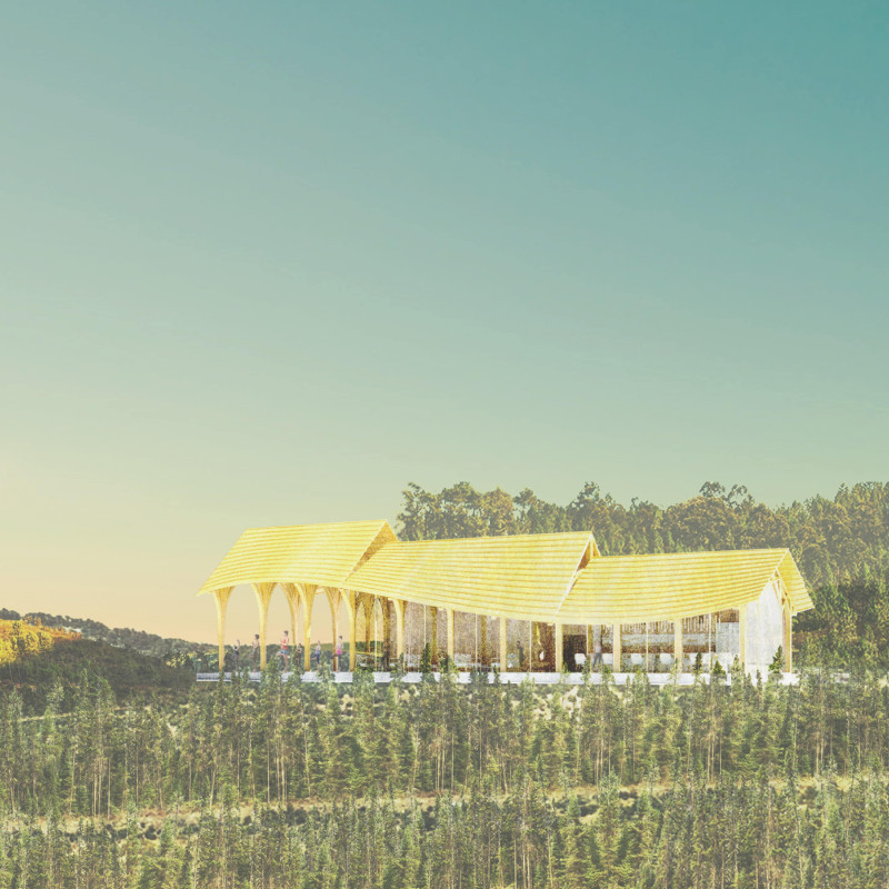 Charred Wooden Shingles and Cross-Laminated Timber Create a Tranquil Sanctuary for Mindfulness