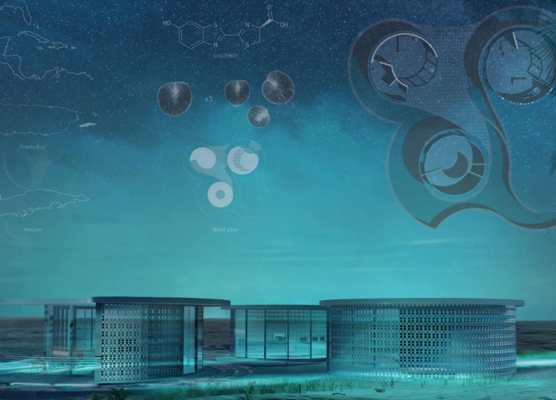Bioluminescent Inspired Design With Transparent Glazing and Curvilinear Forms For Sustainable Living