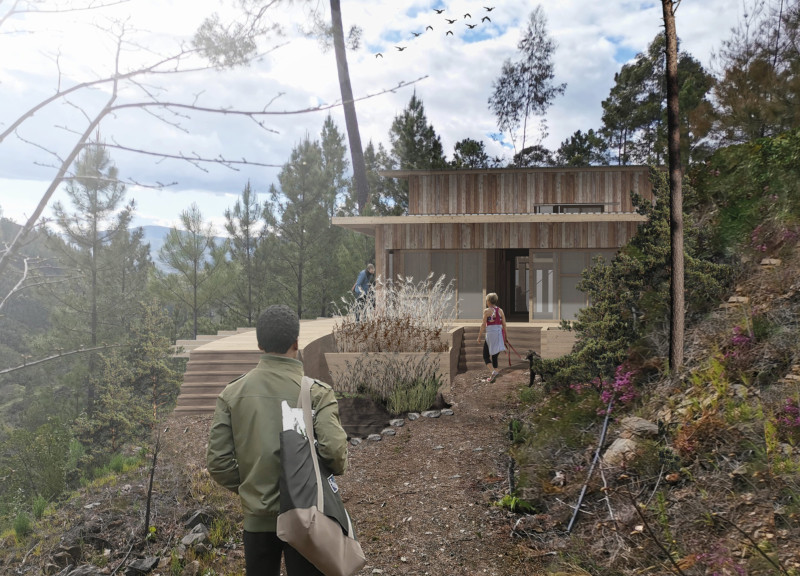 Elevated Yoga Space Surrounded by Pine Trees with Sustainable Rainwater Recovery  