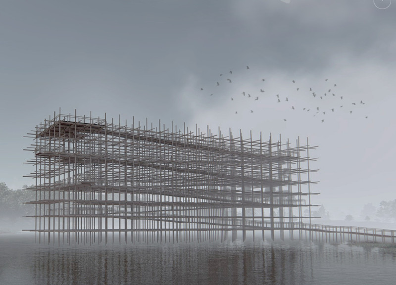 Wooden Beams Forming a Vertical Journey Through Wetlands  