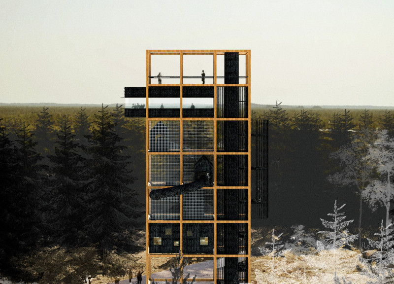 Vertical Structure Adapting to the Bog with Local Spruce Timber