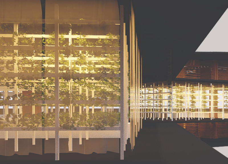 Community Gardens and Hydroponic Systems in Duplex Units  