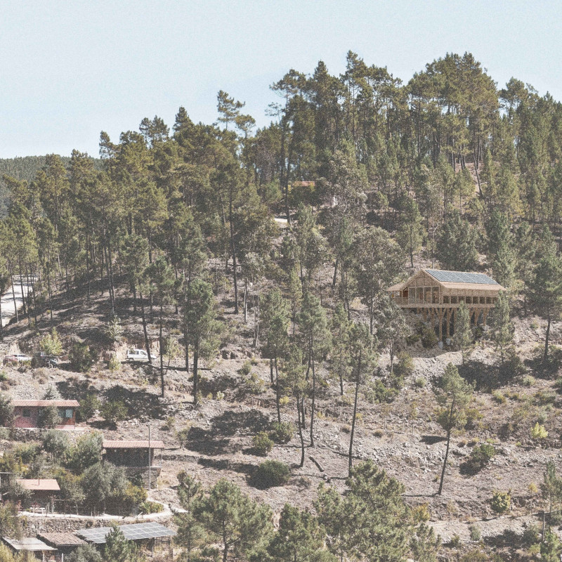 Timber Structure Enhanced by Piled Foundations and Natural Light for Yoga Retreat  