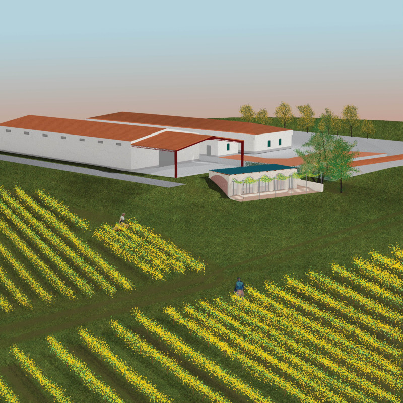 Reflective Groin Vaults in Lioz Limestone Overlooking Vineyards