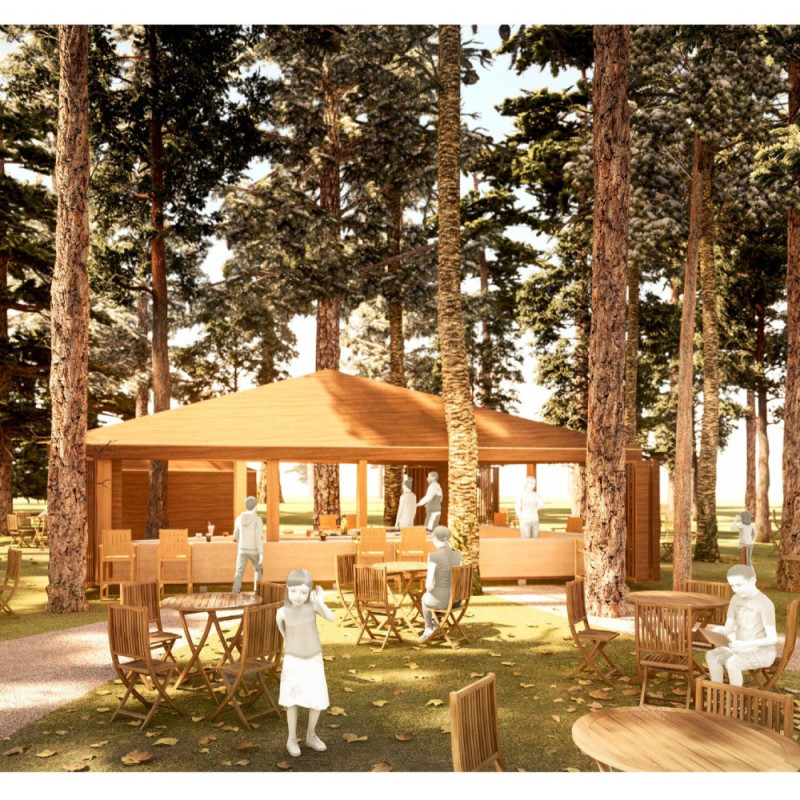 Pine Roofs and Triangular Plans Shaping Community Spaces